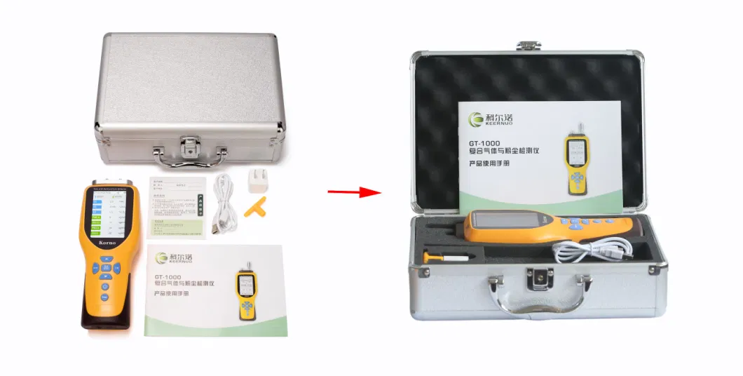 IP66 Portable Multi Air Quality Gas Detector 6 in 1 Gas/Dust Particle Counter/Co/CO2/No2/So2/Pm2.5/Pm10